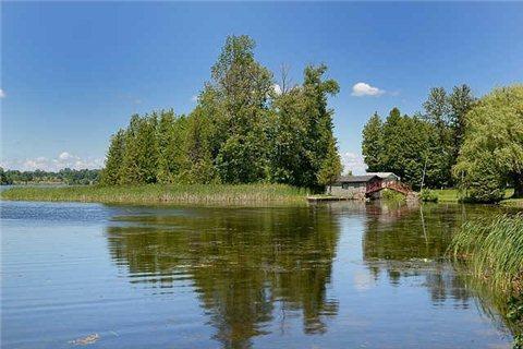 lot 52 Portage Rd, Home with 0 bedrooms, 0 bathrooms and null parking in Kawartha Lakes ON | Image 11