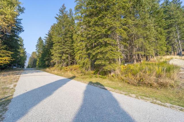 lot 9 Selkirk Road, Home with 0 bedrooms, 0 bathrooms and null parking in Central Kootenay A BC | Image 4