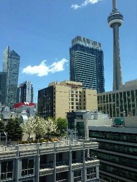 lph08 - 36 Blue Jays Way, Condo with 1 bedrooms, 2 bathrooms and null parking in Toronto ON | Image 4