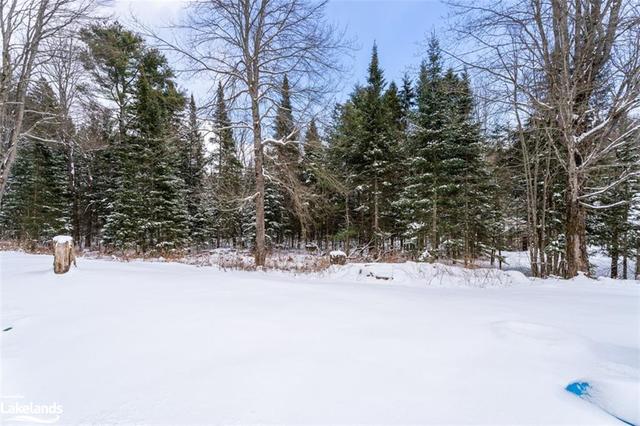155 Balsam Chutes, House detached with 3 bedrooms, 2 bathrooms and 6 parking in Huntsville ON | Image 19