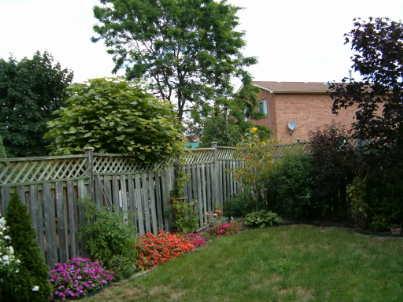 11 Adam St, House detached with 3 bedrooms, 3 bathrooms and 2 parking in Brampton ON | Image 8