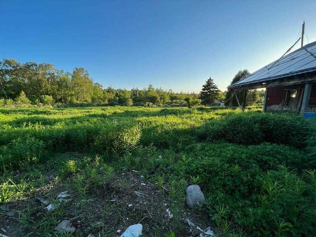 4422 Highway 7, House detached with 2 bedrooms, 2 bathrooms and 10 parking in Kawartha Lakes ON | Image 8