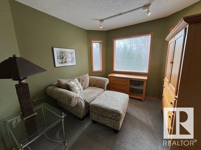755 Wells Wd Nw, House detached with 4 bedrooms, 3 bathrooms and 4 parking in Edmonton AB | Image 27