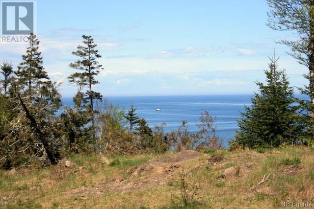 00 Whistle Road, Home with 0 bedrooms, 0 bathrooms and null parking in Grand Manan NB | Image 2