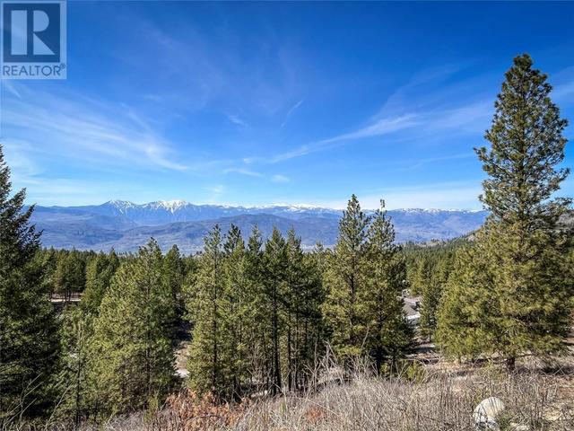 860 Bullmoose Trail, House detached with 4 bedrooms, 2 bathrooms and 2 parking in Okanagan Similkameen A BC | Image 69