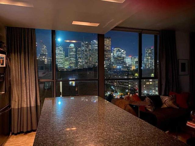 ph02 - 65 Scadding Ave, Condo with 1 bedrooms, 1 bathrooms and 1 parking in Toronto ON | Image 14