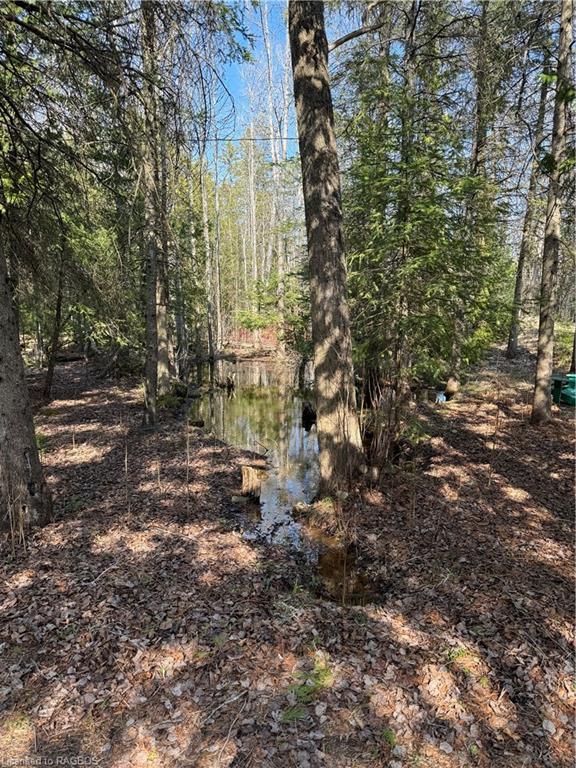42 Miller Lake Rd Road, House detached with 2 bedrooms, 1 bathrooms and 3 parking in Northern Bruce Peninsula ON | Image 20
