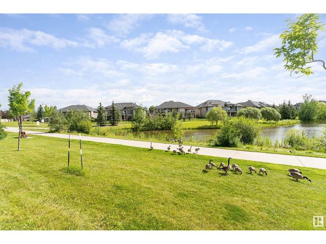 420 - 6083 Maynard Wy Nw Nw, Condo with 2 bedrooms, 2 bathrooms and null parking in Edmonton AB | Image 50