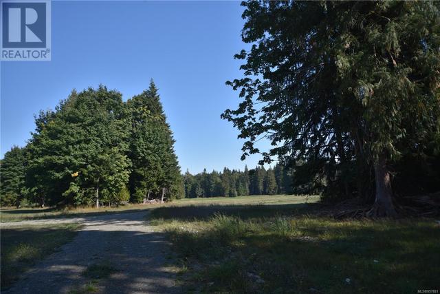 8991 Island Hwy S, House detached with 2 bedrooms, 1 bathrooms and 10 parking in Comox Valley A BC | Image 49