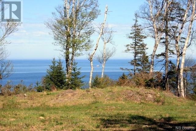 00 Whistle Road, Home with 0 bedrooms, 0 bathrooms and null parking in Grand Manan NB | Image 3