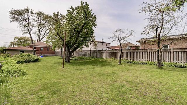 1033 Haig Blvd, House detached with 3 bedrooms, 2 bathrooms and 5 parking in Mississauga ON | Image 19