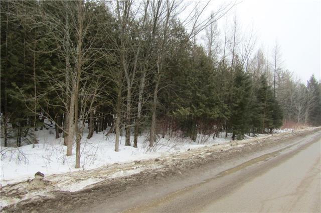 0 Bass Lake Rd, Home with 0 bedrooms, null bathrooms and null parking in Trent Lakes ON | Image 1