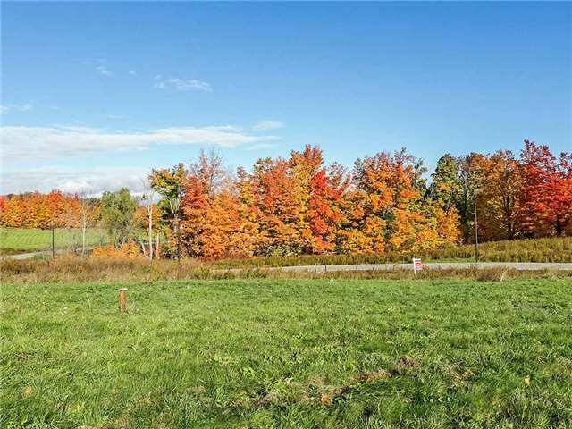 lot 5 - 2605 Harvestmoon Lane, Home with 0 bedrooms, 0 bathrooms and null parking in Burlington ON | Image 4
