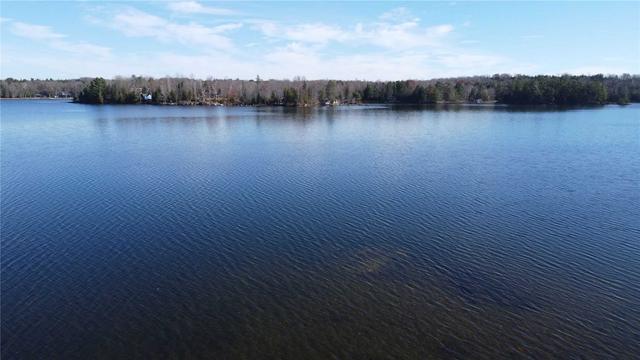 00 Highway 35 N, Home with 0 bedrooms, 0 bathrooms and null parking in Kawartha Lakes ON | Image 9