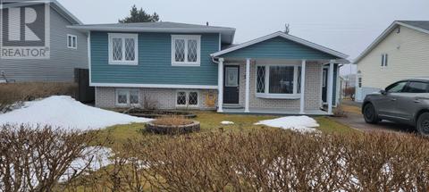 30 Jamieson Avenue, House detached with 3 bedrooms, 1 bathrooms and null parking in Grand Bank NL | Card Image