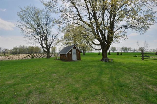 65175 County Rd. 3, House detached with 3 bedrooms, 2 bathrooms and 10 parking in East Garafraxa ON | Image 10