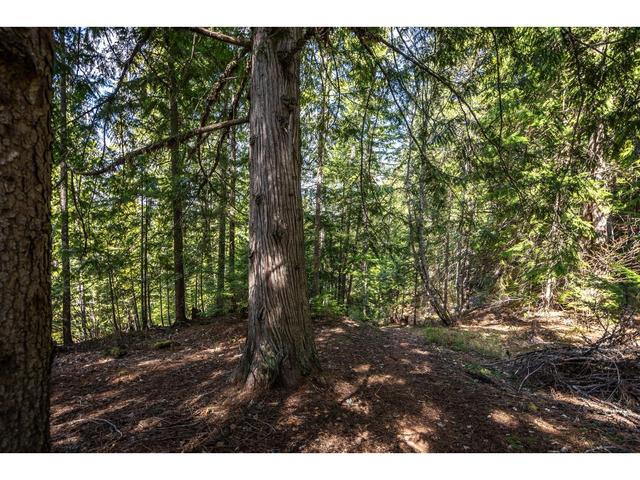 8788 Highway 6, House detached with 2 bedrooms, 2 bathrooms and null parking in Central Kootenay H BC | Image 80
