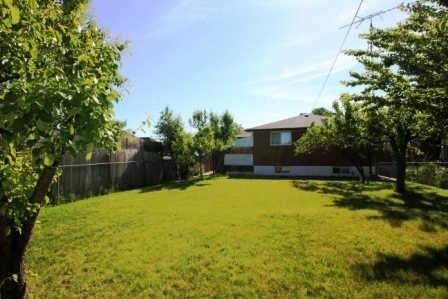 29 Endicott Ave, House detached with 3 bedrooms, 2 bathrooms and 4 parking in Toronto ON | Image 13