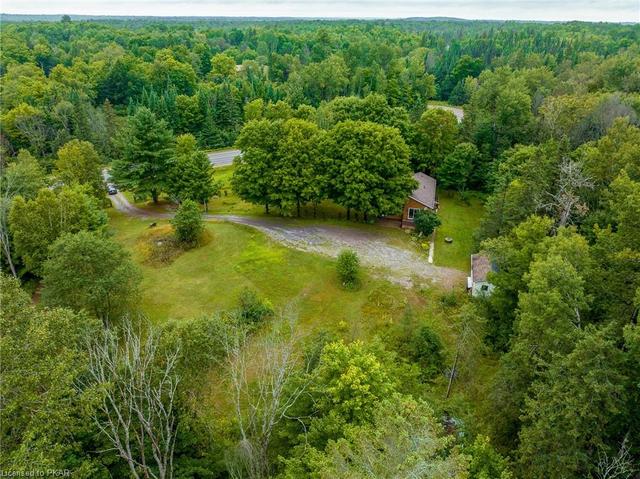 1165 County Rd 620, House detached with 2 bedrooms, 1 bathrooms and 12 parking in North Kawartha ON | Image 48