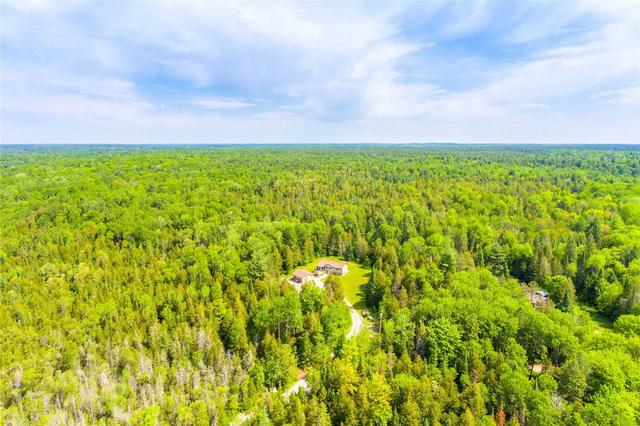 1654 County Road 49 Rd, House detached with 2 bedrooms, 2 bathrooms and 10 parking in Kawartha Lakes ON | Image 24