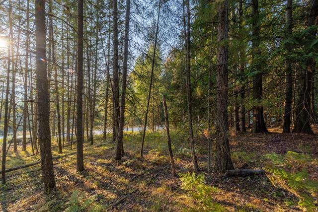 lot 9 Selkirk Road, Home with 0 bedrooms, 0 bathrooms and null parking in Central Kootenay A BC | Image 2