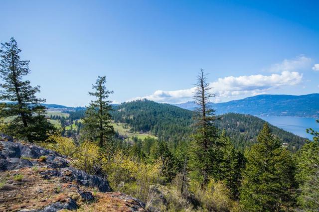 0000 Eastside Road, Home with 0 bedrooms, 0 bathrooms and null parking in Vernon BC | Image 27