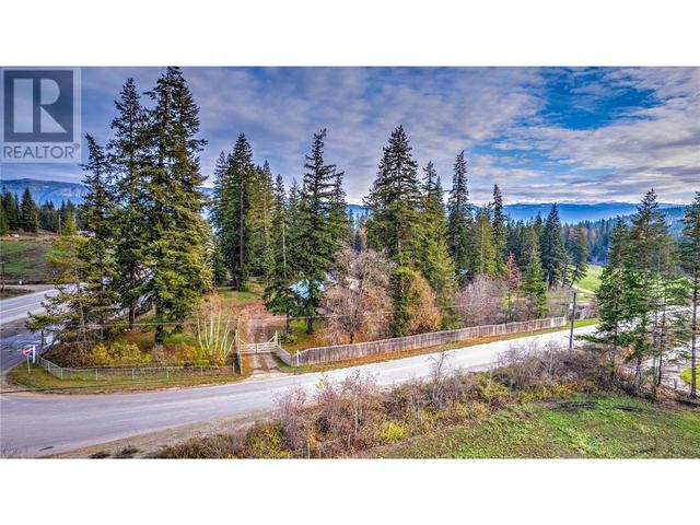 11 Gardom Lake Road, House detached with 2 bedrooms, 2 bathrooms and null parking in North Okanagan F BC | Image 54