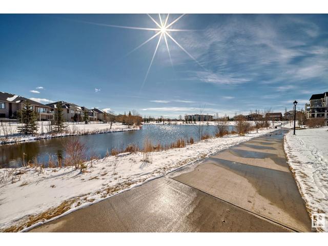 310 - 6083 Maynard Wy Nw, Condo with 1 bedrooms, 1 bathrooms and 2 parking in Edmonton AB | Image 43