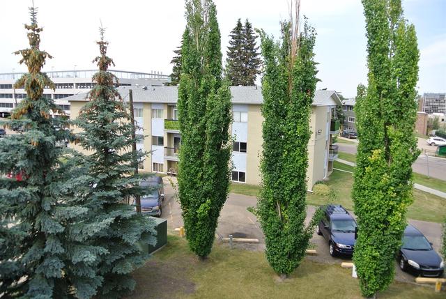 301 - 3730 50 Avenue, Condo with 2 bedrooms, 1 bathrooms and 1 parking in Red Deer AB | Image 16