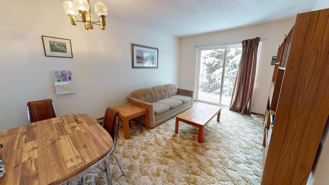 317 - 501 Elk Street, Condo with 1 bedrooms, 1 bathrooms and null parking in Elkford AB | Image 11