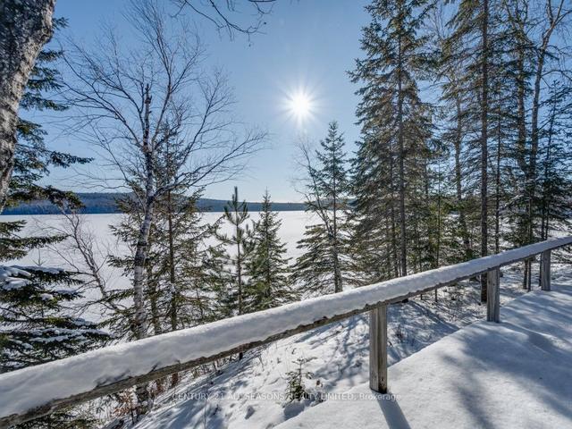31 Skinkle Lane, House detached with 3 bedrooms, 1 bathrooms and 4 parking in South Algonquin ON | Image 35