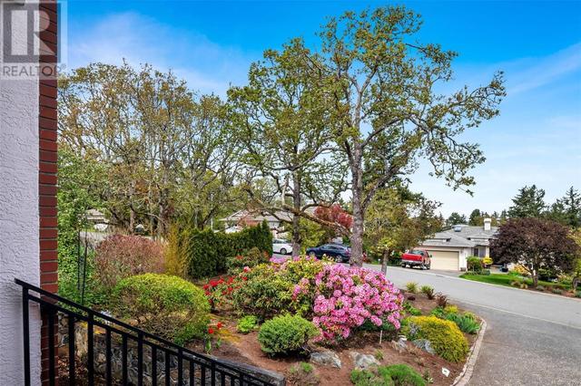 4268 Westervelt Pl, House detached with 7 bedrooms, 4 bathrooms and 5 parking in Saanich BC | Image 5