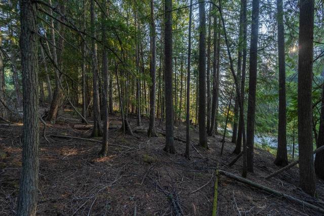 lot 9 Selkirk Road, Home with 0 bedrooms, 0 bathrooms and null parking in Central Kootenay A BC | Image 3
