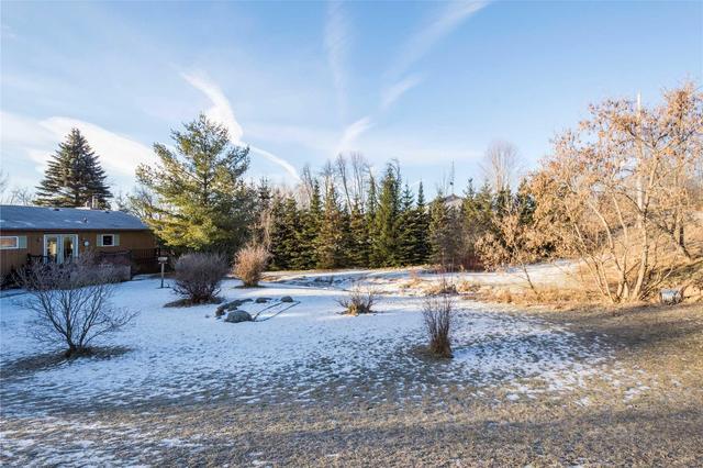347 Concession 3 Rd W, House detached with 3 bedrooms, 2 bathrooms and 5 parking in Trent Hills ON | Image 4