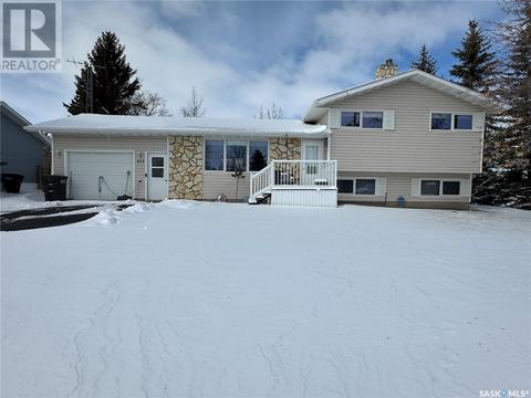 403 2nd Street Ne, House detached with 4 bedrooms, 3 bathrooms and null parking in Watson SK | Card Image