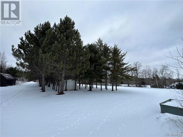 2815 Rte 11 Hwy, House detached with 2 bedrooms, 2 bathrooms and null parking in Alnwick NB | Image 38