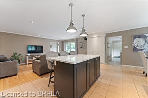 542 Paris Road, House detached with 4 bedrooms, 2 bathrooms and 17 parking in Brant ON | Image 15