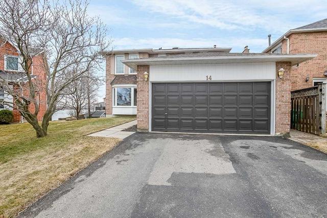 14 Peggy Anne Cove Crt, House detached with 4 bedrooms, 3 bathrooms and 4 parking in Brampton ON | Image 1