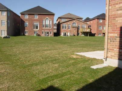 6722 Golden Hills Way, House detached with 4 bedrooms, 3 bathrooms and 4 parking in Mississauga ON | Image 6