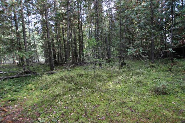 lot 9 Clark Road, Home with 0 bedrooms, 0 bathrooms and null parking in Central Kootenay K BC | Image 14