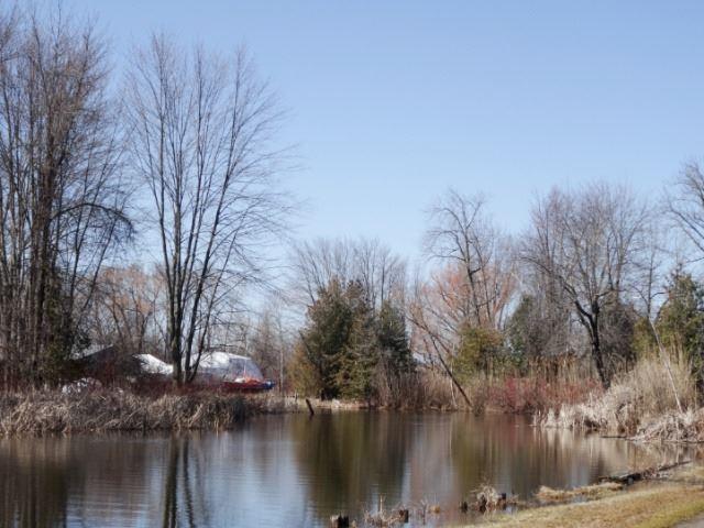 Lot 93 Irving Dr, Home with 0 bedrooms, null bathrooms and null parking in Georgina ON | Image 3