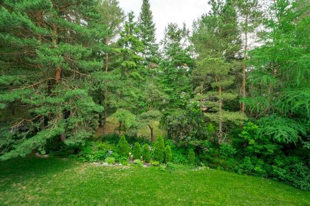 17 Hillview Dr, House detached with 2 bedrooms, 3 bathrooms and 8 parking in Kawartha Lakes ON | Image 7