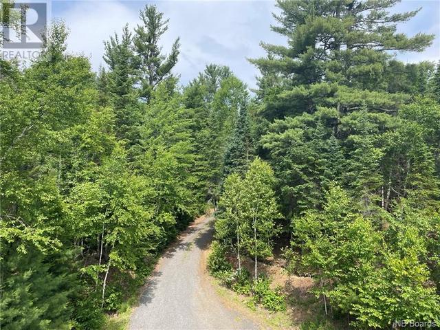 1486 Route 460, House detached with 4 bedrooms, 3 bathrooms and null parking in Alnwick NB | Image 36