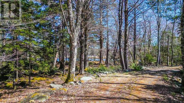 675 Plymouth Gentian Road, House detached with 2 bedrooms, 1 bathrooms and null parking in Yarmouth MD NS | Image 3