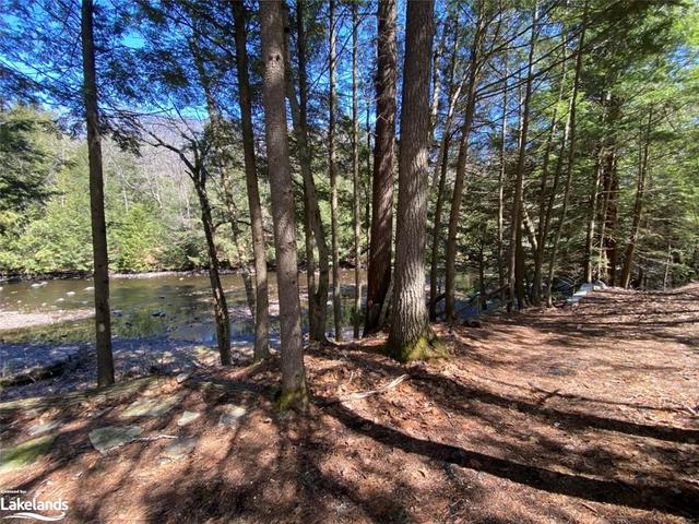 0 Big Hawk Lake Road, Home with 0 bedrooms, 0 bathrooms and null parking in Algonquin Highlands ON | Image 9
