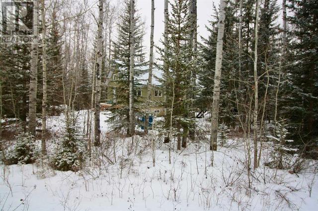 43 Tugate Drive, House detached with 4 bedrooms, 1 bathrooms and 4 parking in Mackenzie County AB | Image 34