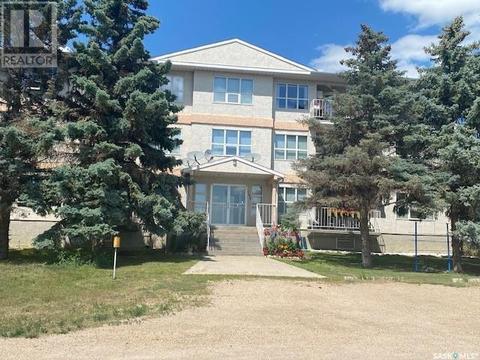 305 - 102 1st Avenue, Condo with 1 bedrooms, 1 bathrooms and null parking in Caronport SK | Card Image