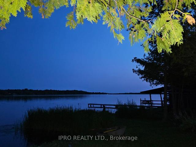223 Mcguire Beach Rd, House detached with 3 bedrooms, 1 bathrooms and 10 parking in Kawartha Lakes ON | Image 19