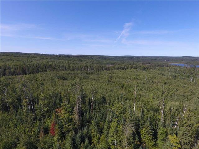 00 Flavelle Twp, Home with 0 bedrooms, null bathrooms and null parking in Timiskaming, Unorganized, West Part ON | Image 5