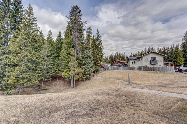 1335 Cypress Drive, House detached with 6 bedrooms, 3 bathrooms and null parking in Sparwood BC | Image 55